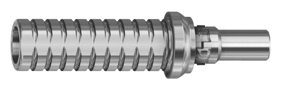 Pilier provisoire Camlog® (Internal CAM)