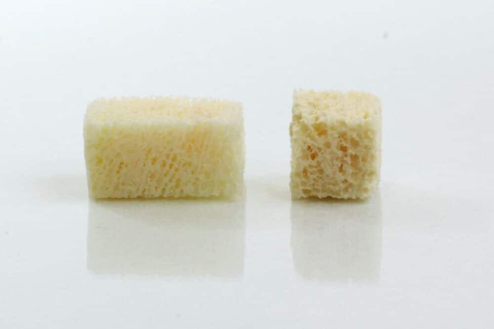 Maxgraft blocs spongieux 10x10x10mm